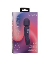 CALEXOTICS - CHARISMA ALLURE MASSEUR DOUBLE MOTEURS 12 FONCTIONS 17,25 CM X 4,5 CM VIOLET