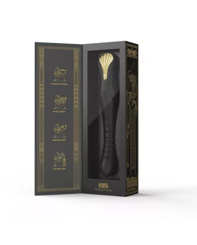 ZALO - PROPULSEUR KING NOIR