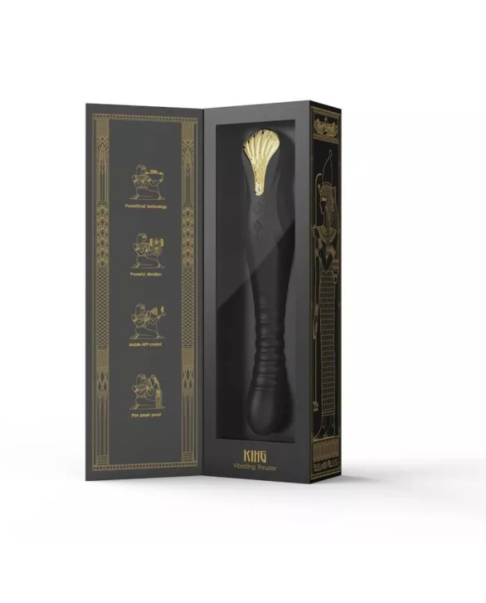 ZALO - PROPULSEUR KING NOIR