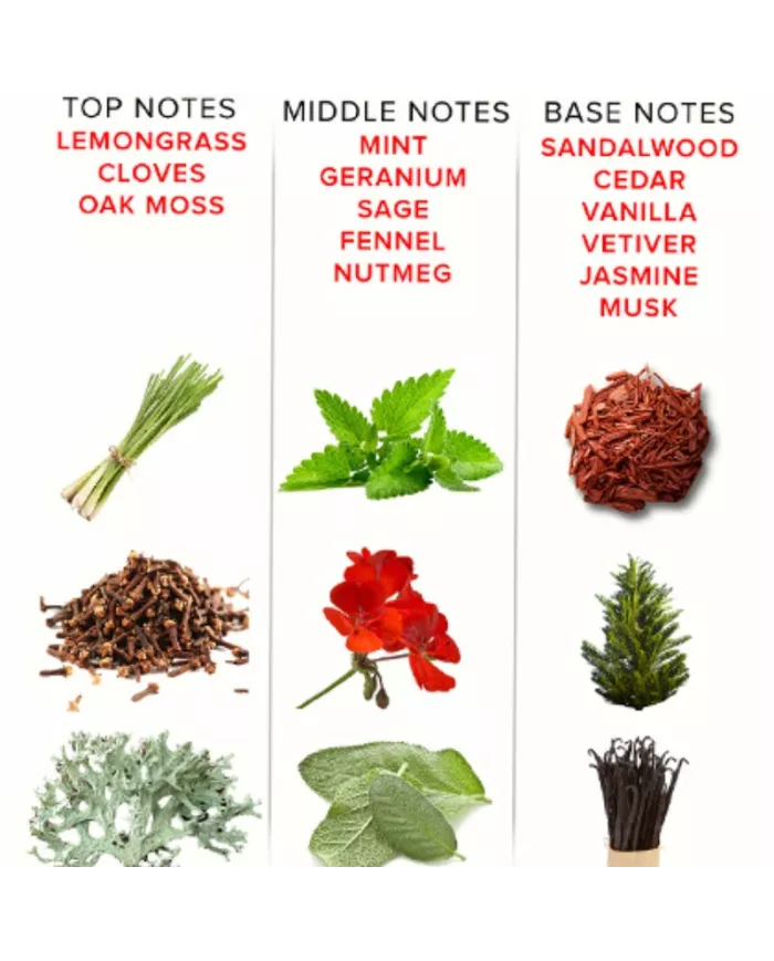 EYE OF LOVE - EOL PHR PARFUM DELUXE 50 ML - ROMANTIC EYE OF LOVE - EOL PHR PARFUM DELUXE 50 ML - ROMANTIC