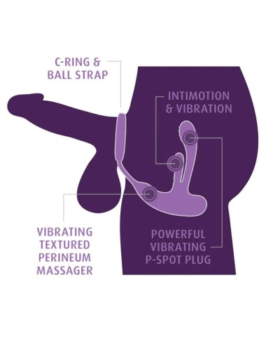 ANAL FANTASY ELITE - STIMULATEUR ANAL ET PÉRINÉAL RECHARGEABLE ASS-GASM INTIMOTION