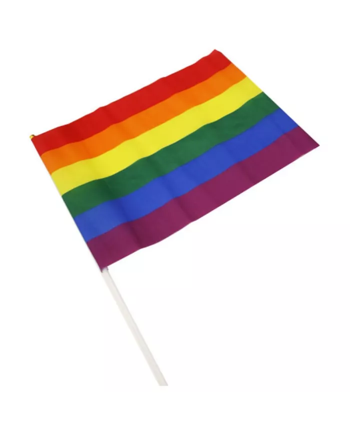 PRIDE - FANION MOYEN DRAPEAU LGBT PRIDE - FANION MOYEN DRAPEAU LGBT