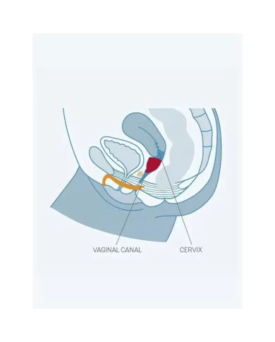 FUN FACTORY - FUN CUP TAILLE UNIQUE B RAISIN