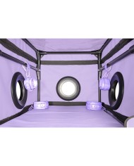 SECRET DOME - KINK CLUB LA NICHE CABINE VIOLET