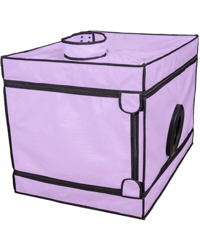 SECRET DOME - KINK CLUB LA NICHE CABINE VIOLET