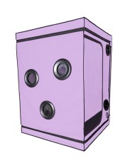 SECRET DOME - KINK CLUB CABINE SCANDALE PURPLE