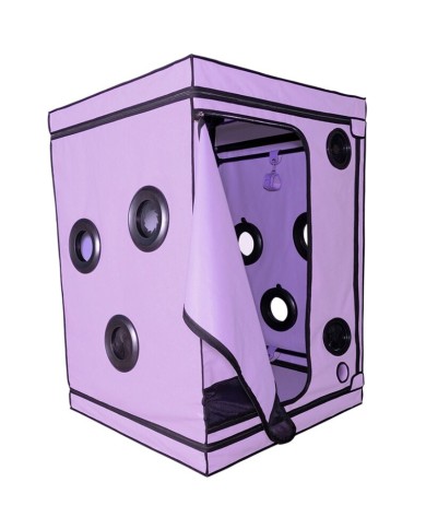 SECRET DOME - KINK CLUB CABINE SCANDALE PURPLE