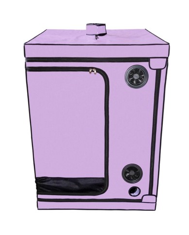 SECRET DOME - KINK CLUB CABINE SCANDALE PURPLE