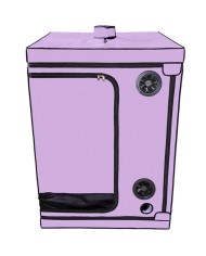 SECRET DOME - KINK CLUB CABINE SCANDALE PURPLE