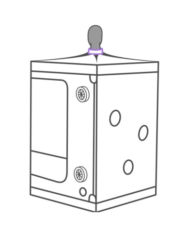 SECRET DOME - KINK CLUB CABINE SCANDALE PURPLE