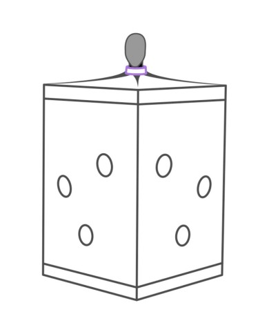 SECRET DOME - KINK CLUB CABINE SCANDALE PURPLE