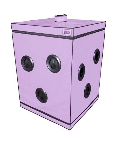SECRET DOME - KINK CLUB CABINE SCANDALE PURPLE