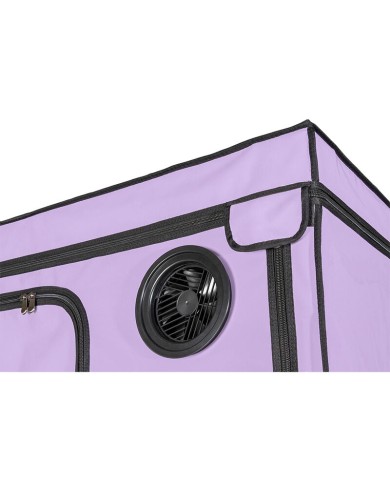 SECRET DOME - KINK CLUB CABINE SCANDALE PURPLE