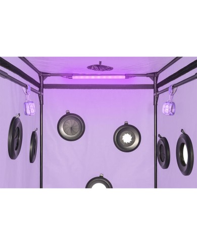SECRET DOME - KINK CLUB CABINE SCANDALE PURPLE