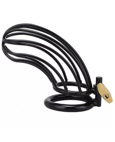 METAL HARD - CAGE DANNEAU DE CHASTETÉ DOISEAU NOIR METAL HARD - CAGE DANNEAU DE CHASTETÉ DOISEAU NOIR