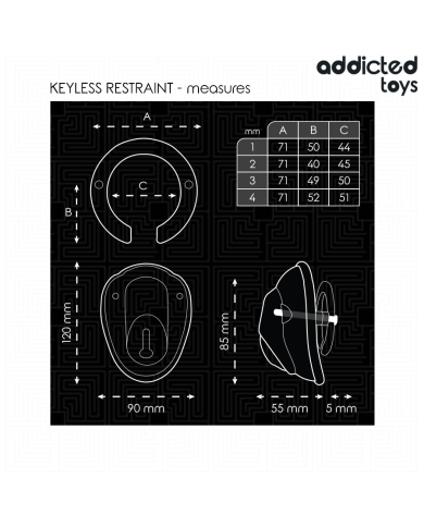 ADDICTED TOYS LOCKED - À PÉNIS VERROUILLÉE SANS CLÉ 11,5 CM