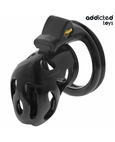 ADDICTED TOYS LOCKED - À PÉNIS CRYPTÉE VERROUILLÉE ET SCELLÉE 8 CM