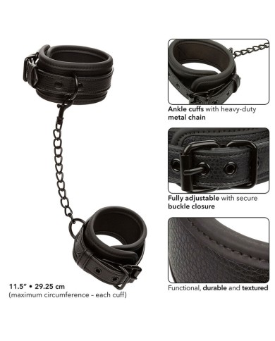 CALEXOTICS - NOCTURNAL CHEVILLES RÉGLABLES EN CUIR NOIR