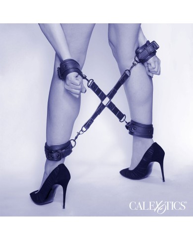 CALEXOTICS - NOCTURNAL CONNECTEUR TIE HOG CUERO AJUSTABLE NOIR