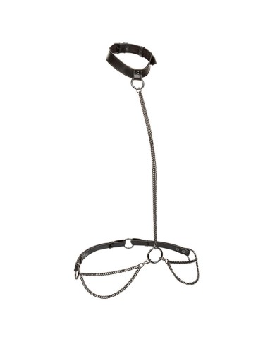 CALEXOTICS - EUPHORIA COLLIER LICOL ET LAISSE GRANDE TAILLE