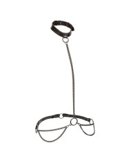 CALEXOTICS - EUPHORIA COLLIER LICOL ET LAISSE GRANDE TAILLE