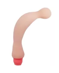 BAILE - VIBRATEUR FLEXI VIBE SENSUAL SPINE 22 CM BAILE - VIBRATEUR FLEXI VIBE SENSUAL SPINE 22 CM