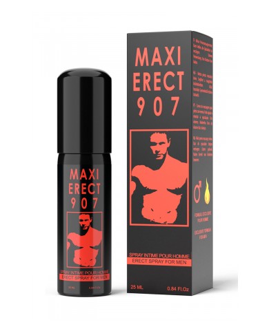 Maxi Erect 907