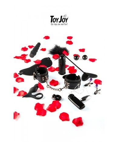 Lovetoy starter kit