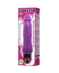 BAILE - VIBRATEUR MULTIVITESSES DAAPLY PLEASURE VIOLET