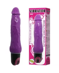 BAILE - VIBRATEUR MULTIVITESSES DAAPLY PLEASURE VIOLET
