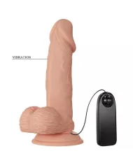 BAILE - BELLE RENCONTRE ZEBULON VIBRATION 19.4 CM NATUREL BAILE - BELLE RENCONTRE ZEBULON VIBRATION 19.4 CM NATUREL