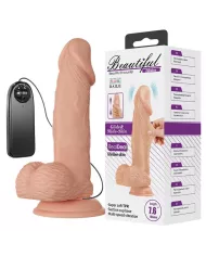 BAILE - BELLE RENCONTRE ZEBULON VIBRATION 19.4 CM NATUREL BAILE - BELLE RENCONTRE ZEBULON VIBRATION 19.4 CM NATUREL