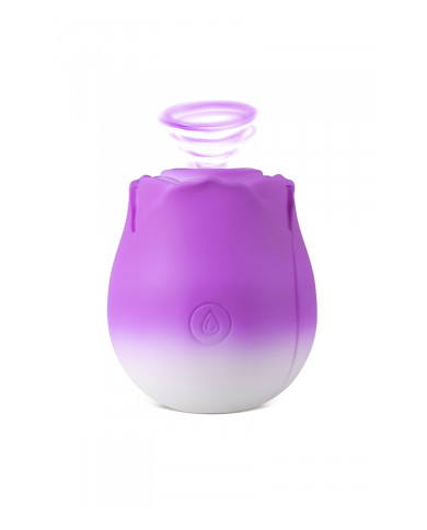 Stimulateur à aspiration et vibrations Blossom Pulse - DIK