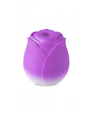 Stimulateur à aspiration et vibrations Blossom Pulse - DIK