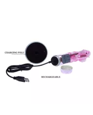 BAILE - US LAPIN PAPILLON PALNITANT