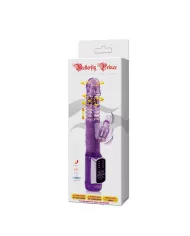 BAILE - US LAPIN PAPILLON PRINCE BAILE - US LAPIN PAPILLON PRINCE