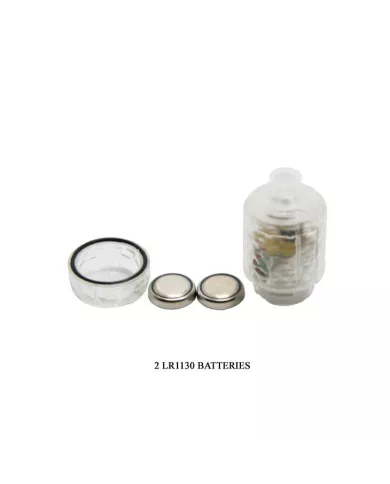 BAILE - DEXTENSION FANTASY VIBE