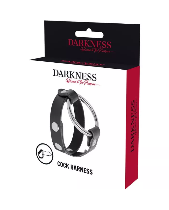 DARKNESS - ANNEAU DE BITE ET TESTICULE BDSM DARKNESS - ANNEAU DE BITE ET TESTICULE BDSM