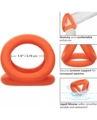 CALEXOTICS - ALPHA TRI-ANNEAU ORANGE CALEXOTICS - ALPHA TRI-ANNEAU ORANGE