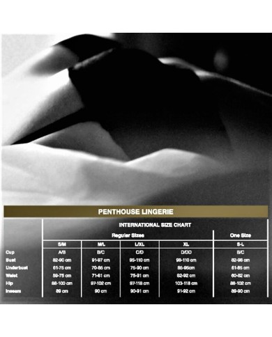 PENTHOUSE - DEVILS ADVOCATE TEDDY XL