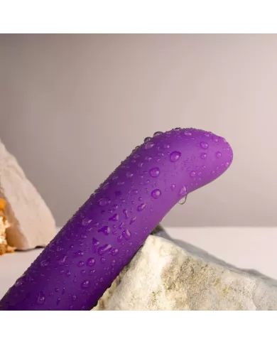 ROCKS-OFF - CHAIAMO G VIBRATEUR POINT G VIOLET ROCKS-OFF - CHAIAMO G VIBRATEUR POINT G VIOLET