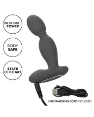 CALEXOTICS - SONDE ROTATEUR