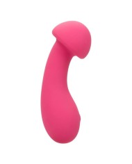 CALEXOTICS - PIXIES EXCITER ROSE
