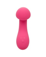 CALEXOTICS - PIXIES EXCITER ROSE
