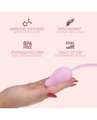 INTIMICHIC - SANTÉ DU BASSIN I 2.0 RÉÉDUCATION PELVIENNE INTIMICHIC - SANTÉ DU BASSIN I 2.0 RÉÉDUCATION PELVIENNE