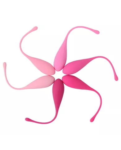 LESLIE - KEGEL FIT ENSEMBLE D'ENTRAÃŽNEMENT MUSCULAIRE PELVIEN 6 PCS LESLIE - KEGEL FIT ENSEMBLE D'ENTRAÃŽNEMENT MUSCULAIRE PELVIEN 6 PCS
