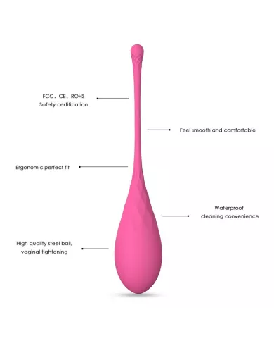 LESLIE - KEGEL FIT ENSEMBLE D'ENTRAÃŽNEMENT MUSCULAIRE PELVIEN 6 PCS LESLIE - KEGEL FIT ENSEMBLE D'ENTRAÃŽNEMENT MUSCULAIRE PELVIEN 6 PCS