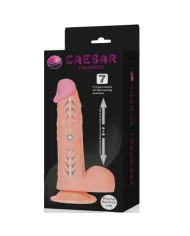 BAILE - FONCTION HAUT ET BAS DU GODE RÉALISTE CAESAR TREASURE BAILE - FONCTION HAUT ET BAS DU GODE RÉALISTE CAESAR TREASURE