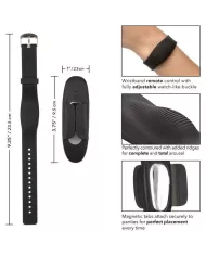 CALEXOTICS - BRACELET DISTANCE CULOTTE TEASER