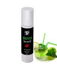 EROS-ART - SENSATTION LUBRIFIANT NATUREL MOJITO 50 ML EROS-ART - SENSATTION LUBRIFIANT NATUREL MOJITO 50 ML